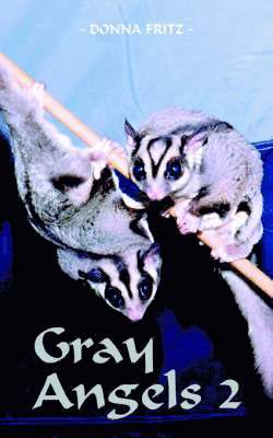 Donna Fritz - Gray Angels 2, Häftad