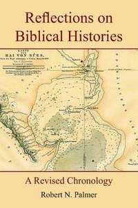 bokomslag Reflections on Biblical Histories