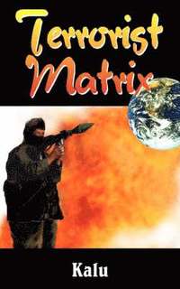 bokomslag Terrorist Matrix