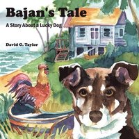 bokomslag Bajan's Tale