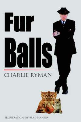 bokomslag Fur Balls