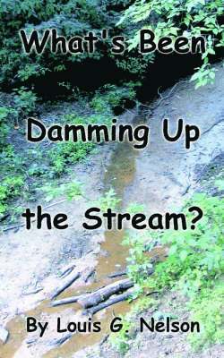 What's Been Damming Up the Stream? 1