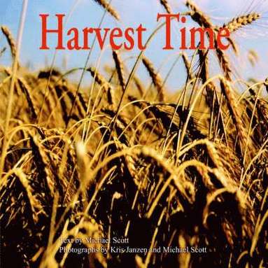 bokomslag Harvest Time