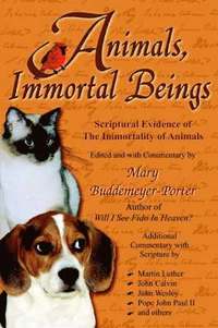 bokomslag Animals, Immortal Beings