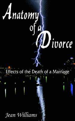 bokomslag Anatomy of a Divorce