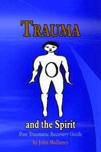 bokomslag Trauma and the Spirit