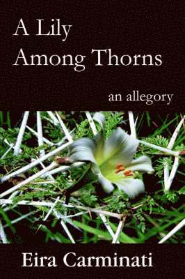 A Lily Among Thorns 1