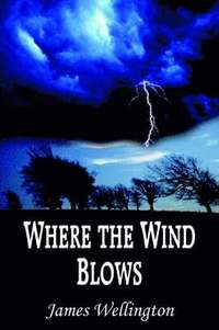 bokomslag Where the Wind Blows