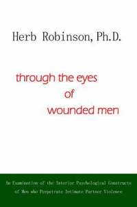 bokomslag Through the Eyes of Wounded Men