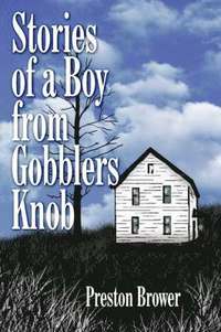 bokomslag Stories of a Boy from Gobblers Knob