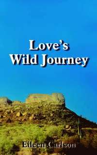 bokomslag Love's Wild Journey