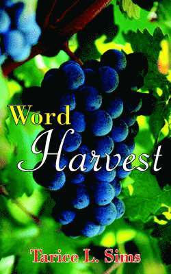 Word Harvest 1