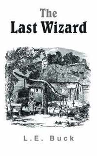 bokomslag The Last Wizard