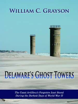 bokomslag Delaware's Ghost Towers