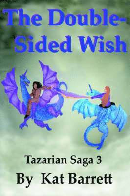 bokomslag Double~Sided Wish