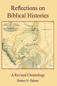 bokomslag Reflections on Biblical Histories