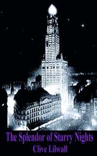 bokomslag Splendor of Starry Nights