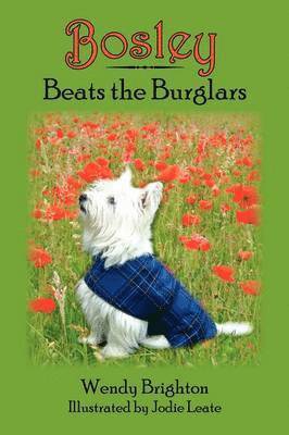 Bosley Beats the Burglars 1