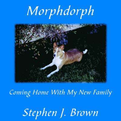 Morphdorph 1