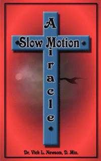 bokomslag A Slow Motion Miracle