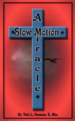 bokomslag Slow Motion Miracle