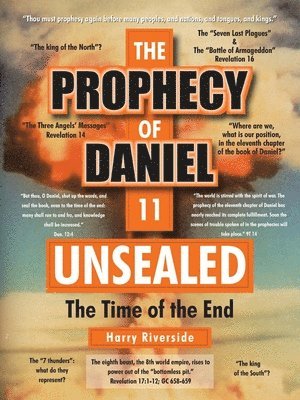bokomslag Prophecy of Daniel 11 Unsealed