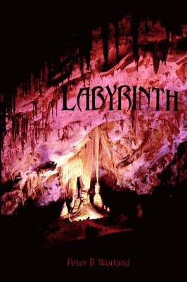 Labyrinth 1