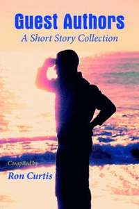 bokomslag Guest Authors A Short Story Collection