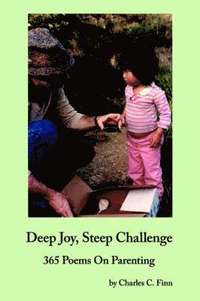 bokomslag Deep Joy, Steep Challenge