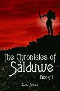 bokomslag The Chronicles of Salduwe Book I