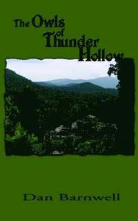 bokomslag Owls of Thunder Hollow