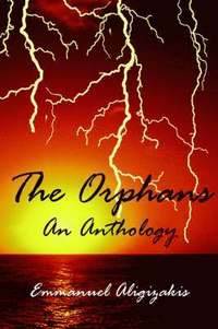 bokomslag The Orphans