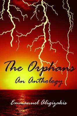 bokomslag The Orphans