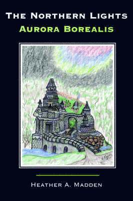 Northern Lights Aurora Borealis 1