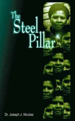 bokomslag The Steel Pillar
