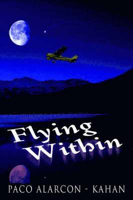 bokomslag Flying Within