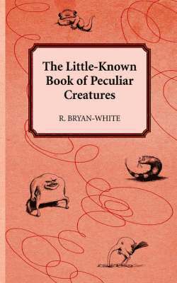 R Bryan-White, R. Bryan-White - Little-Known Book of Peculiar Creatures, Häftad