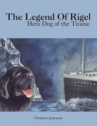 bokomslag The Legend Of Rigel