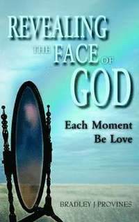 bokomslag Revealing the Face of God