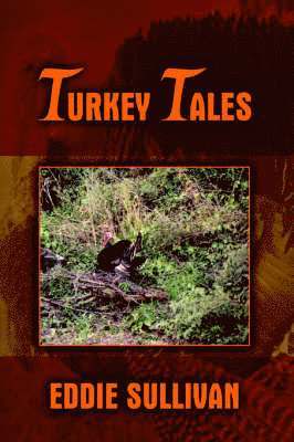 bokomslag Turkey Tales