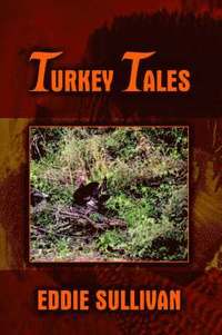 bokomslag Turkey Tales