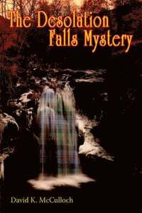 bokomslag The Desolation Falls Mystery