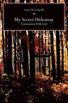 bokomslag My Secret Hideaway