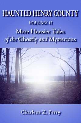 bokomslag Haunted Henry County Volume II