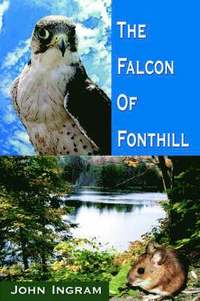 bokomslag The Falcon Of Fonthill