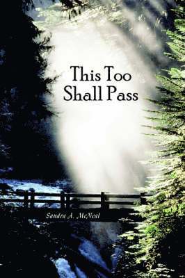 bokomslag This Too Shall Pass