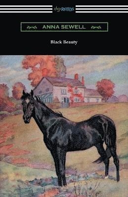 bokomslag Black Beauty (Illustrated by Robert L. Dickey)