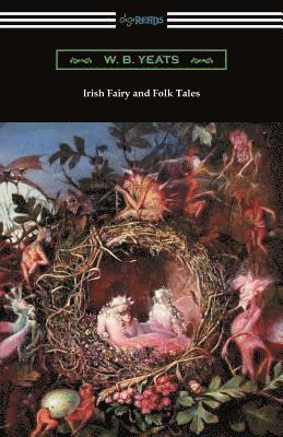 bokomslag Irish Fairy and Folk Tales