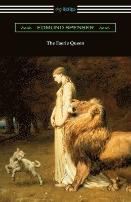bokomslag Faerie Queen