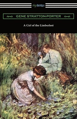 bokomslag A Girl of the Limberlost